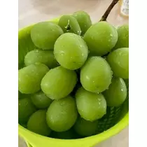 桐島 りゅう