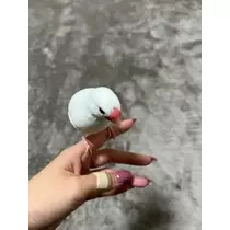 はるか