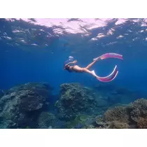 しょう