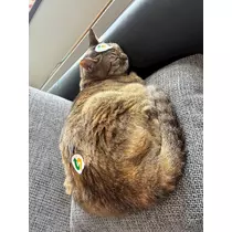 華宮 れい