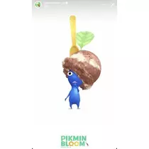 七星 夏純