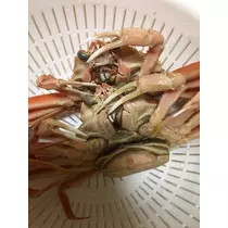 姫花
