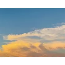 ゆかり