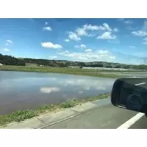 りえ