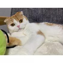 るな