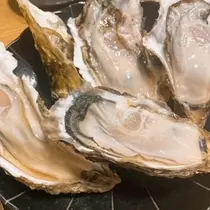 成海 まお