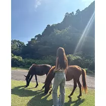 のぞみ