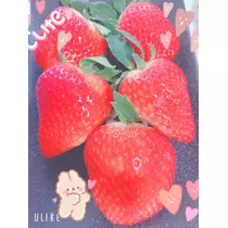 あいり