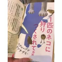 あみ