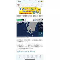 さや