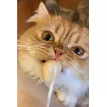 はな
