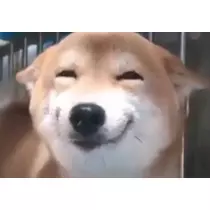 みゆ
