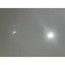 空条 しいな