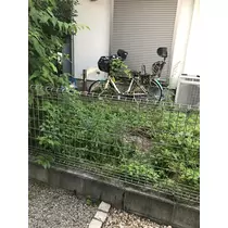 あみ
