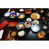 東条 茉叶菜