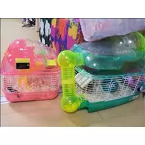 桃瀬 百華