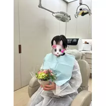 紬 むぎ