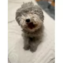 うづき ふうか