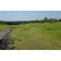 薫