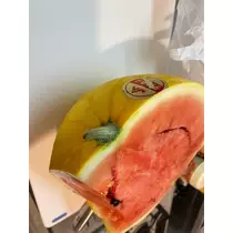 足立 はな