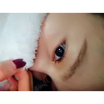 らん