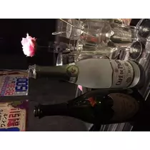妃 えりか