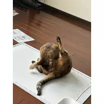 華宮 れい