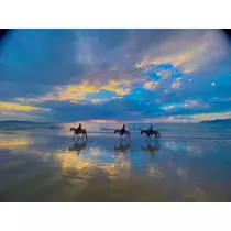 諸星 海