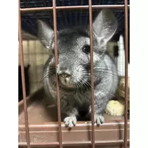 なっちゃん