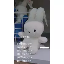 三上 胡桃