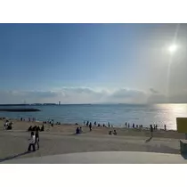ミユ