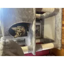 あや