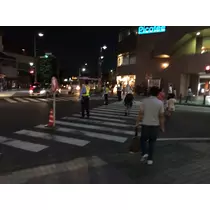 蓮