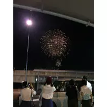 菜月