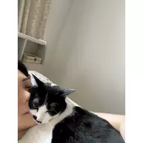黒川 すみれ