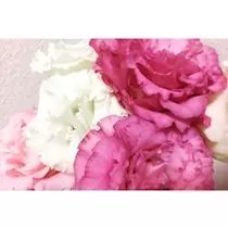 レミ