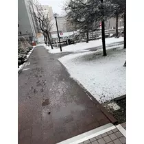 天月 あすな