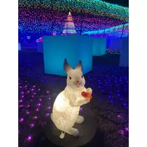 はづき