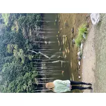 翠
