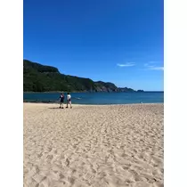 叶月 あさ