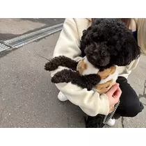 天乃 りさ