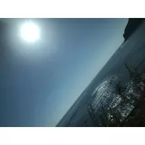 美羽  みう