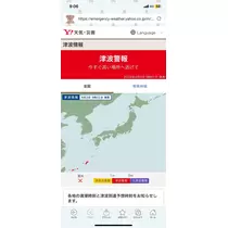 さや