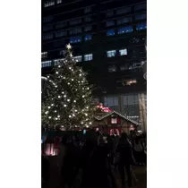 れいか