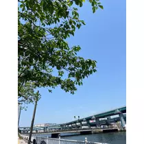 池田 ゆりか ママ