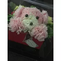 白石 愛莉
