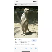 くる