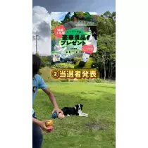みこ