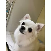 みらい
