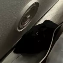 響